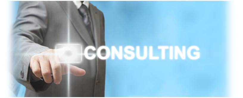 Consulting Web